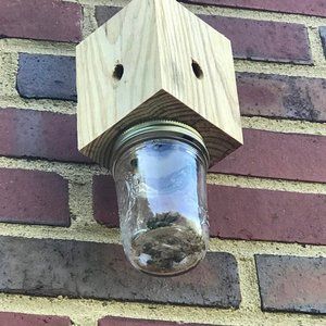 Boring Bee Catcher
